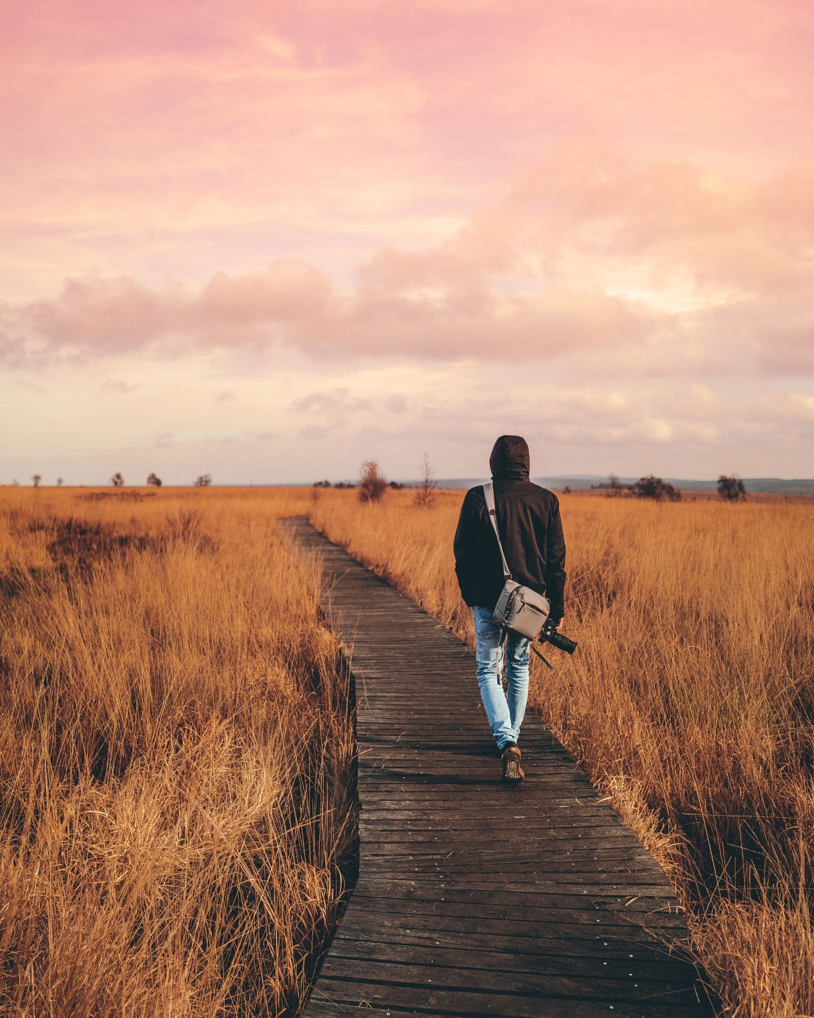 A person walking a boardwalk through golden grass at dusk